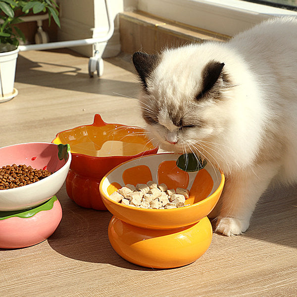 Ceramic Fruit Pet Bowl - Orange - Strawberry - Pumpkin