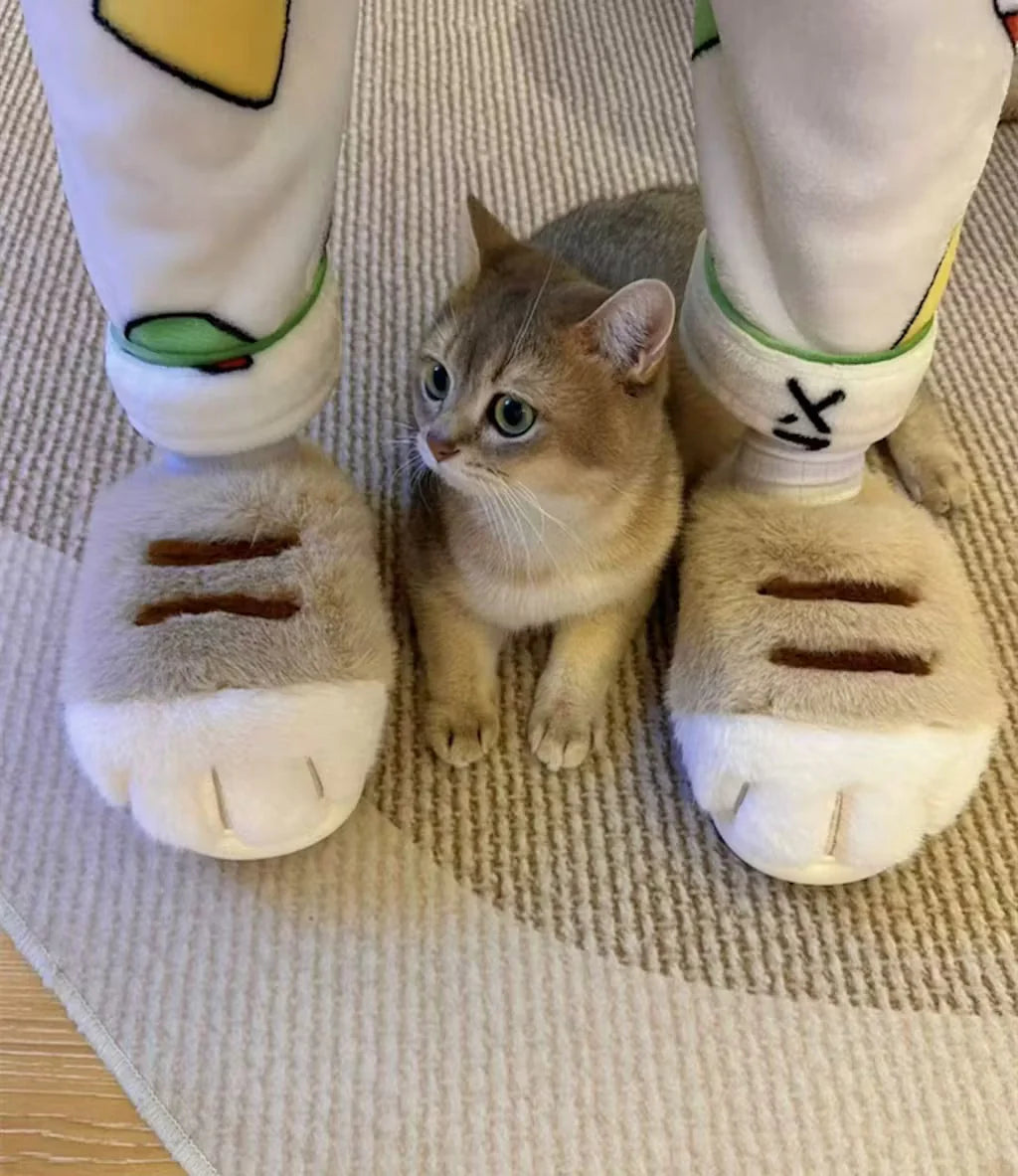 Cat Paw Slippers