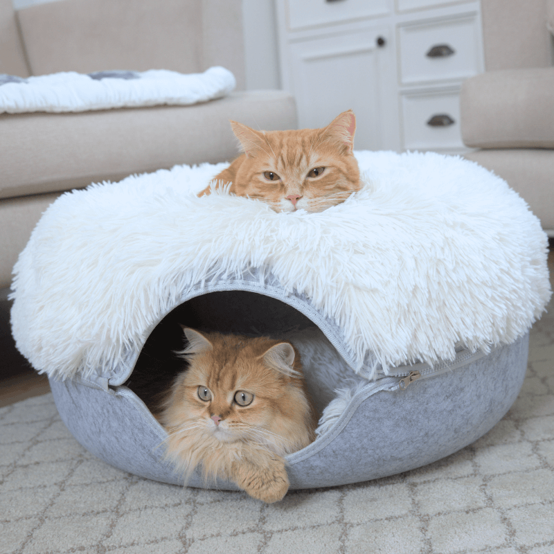 Santa Claws Cozy Calming Donut