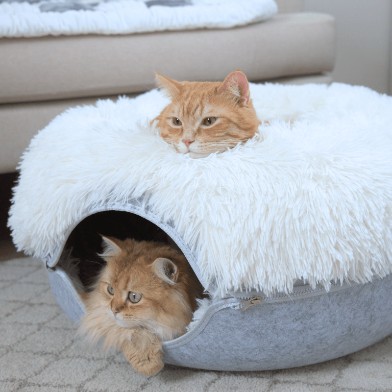 Santa Claws Cozy Calming Donut