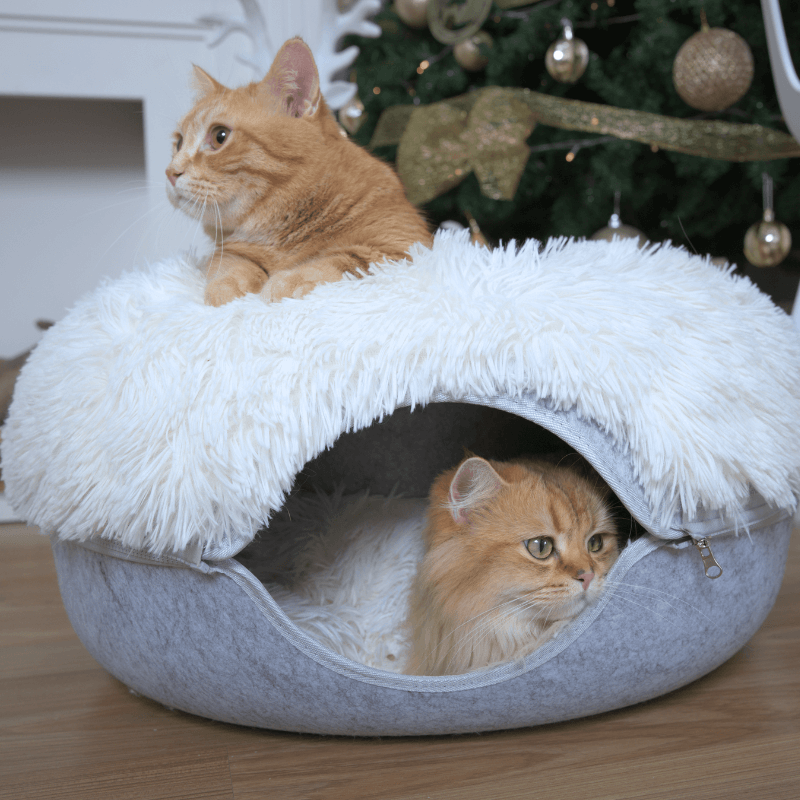 Santa Claws Cozy Calming Donut