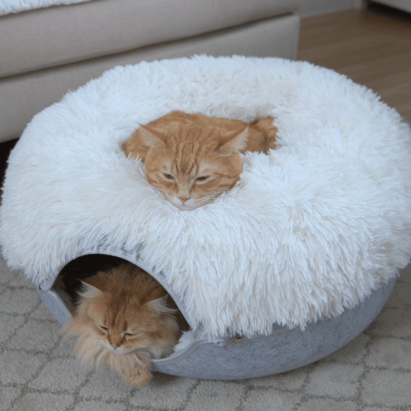 Santa Claws Cozy Calming Donut