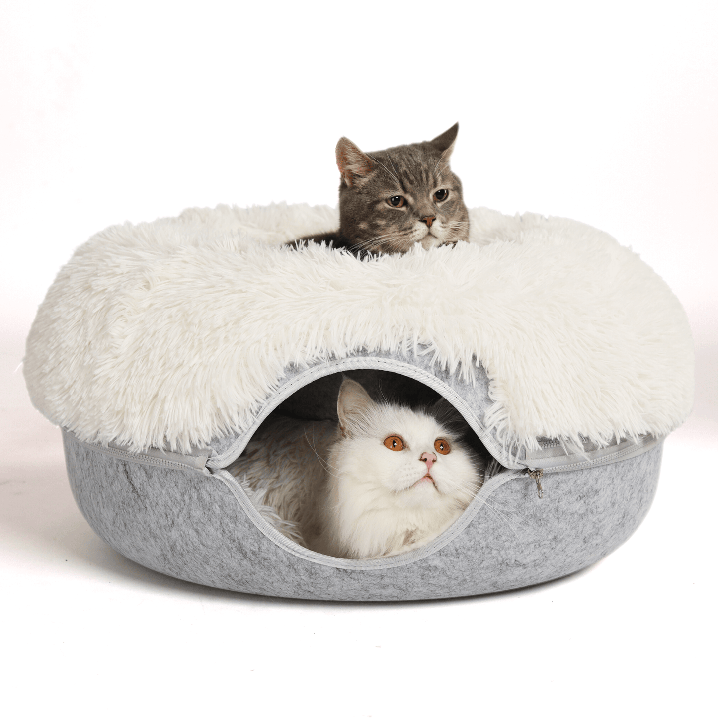 Santa Claws Cozy Calming Donut
