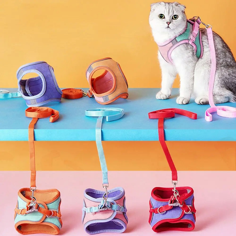 Small Cat Leash and Harness Set – Reflective, Escape-Proof with Bell"
