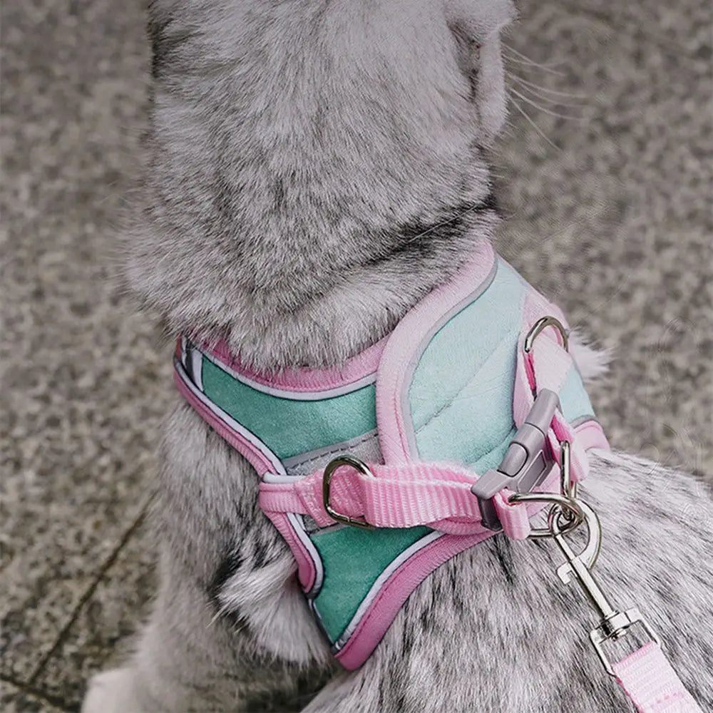 Small Cat Leash and Harness Set – Reflective, Escape-Proof with Bell"
