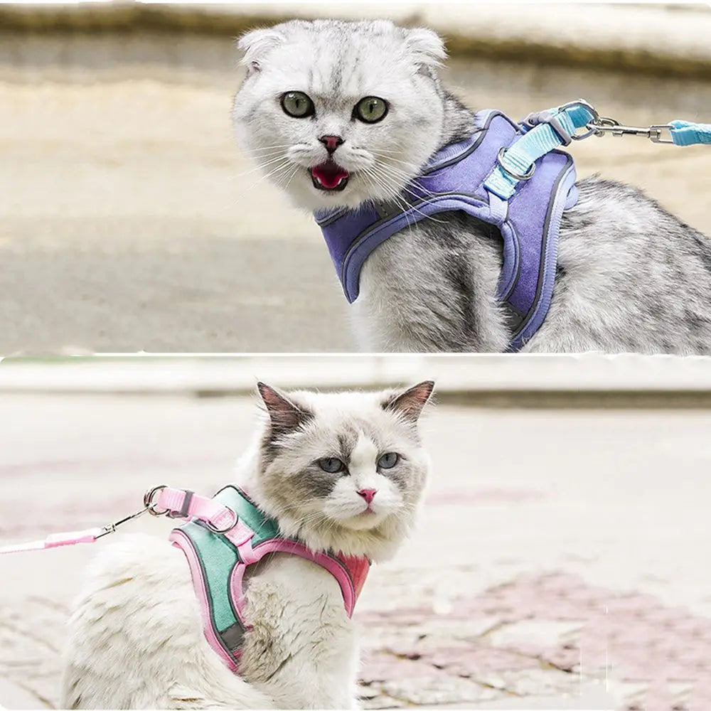 Small Cat Leash and Harness Set – Reflective, Escape-Proof with Bell"