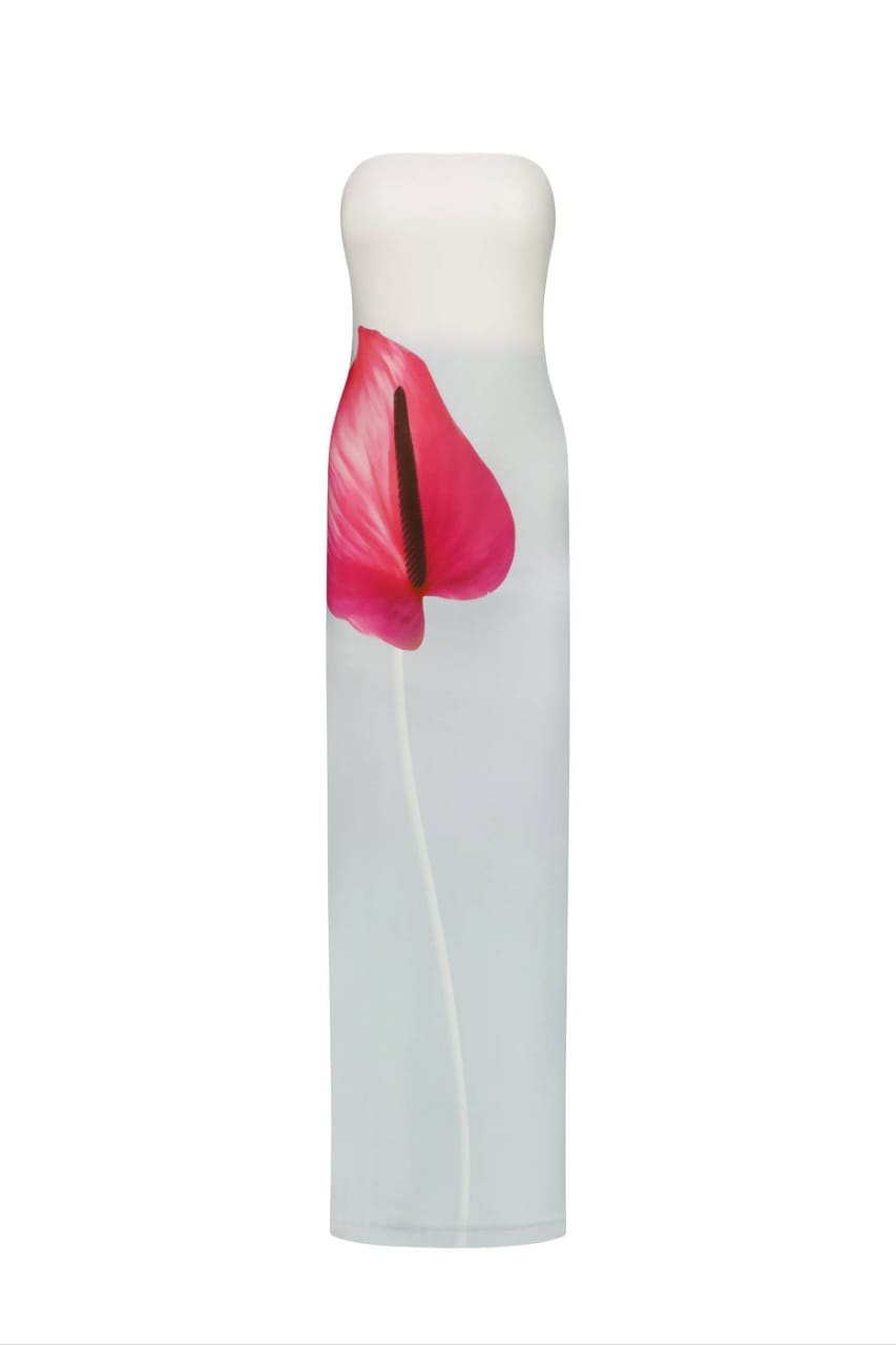 Vestido largo Alexa