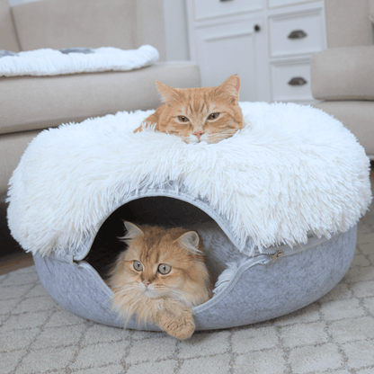 Cattasaurus™ Soothing Calming Donut - Buy One, Get One Free!