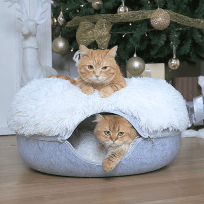 Cattasaurus™ Soothing Calming Donut - Buy One, Get One Free!
