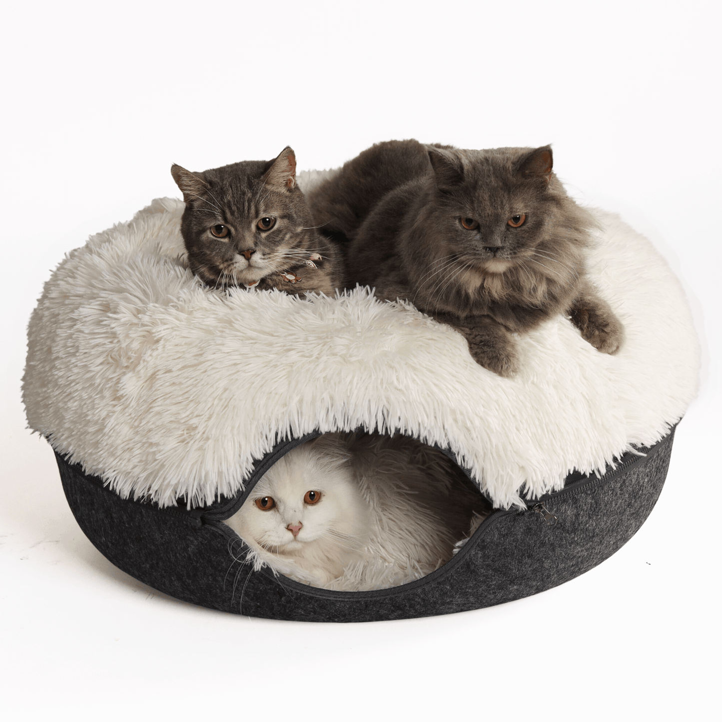 Cattasaurus™ Soothing Calming Donut - Buy One, Get One Free!