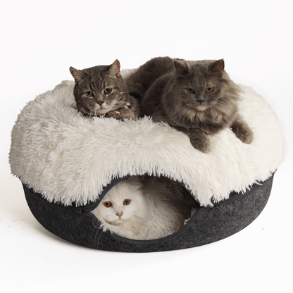 Cattasaurus™ Soothing Calming Donut - Buy One, Get One Free!