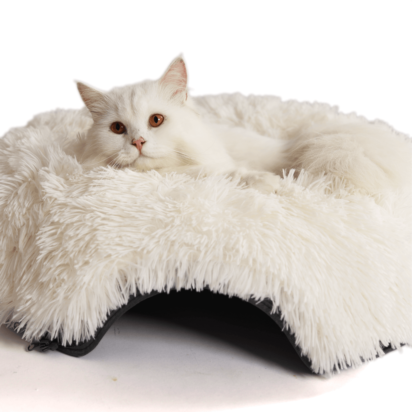 Cattasaurus™ Soothing Calming Donut - Buy One, Get One Free!