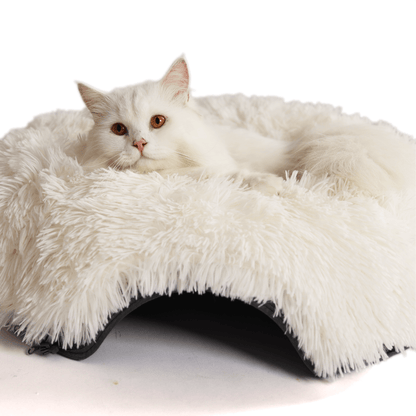 Cattasaurus™ Soothing Calming Donut - Buy One, Get One Free!