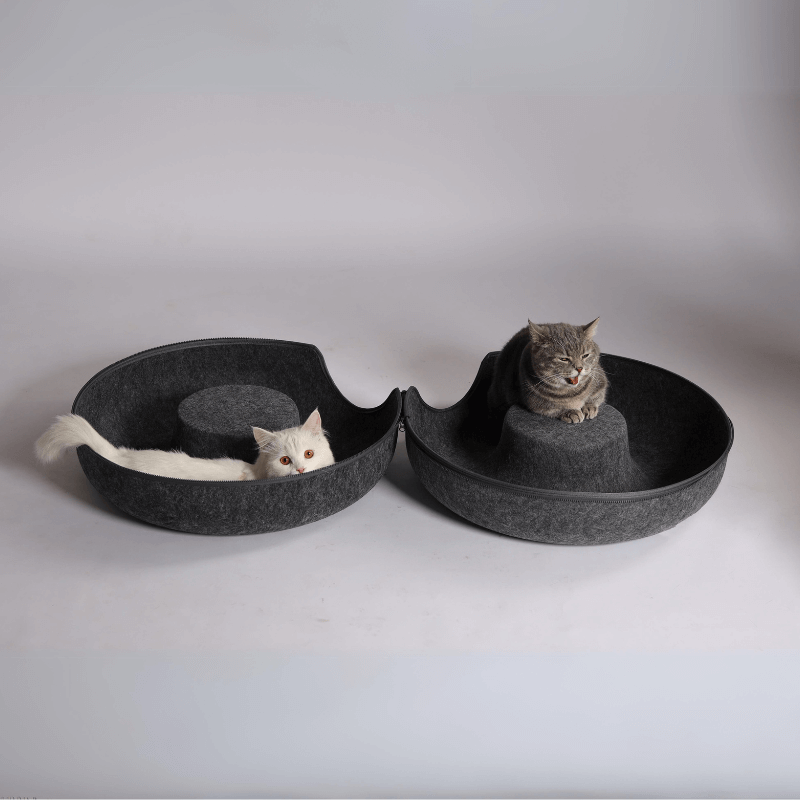 Charcoal Peekaboo Delight