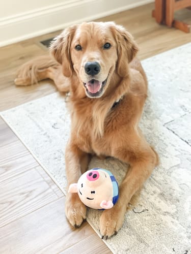 Pelota que rebota JUGUETE