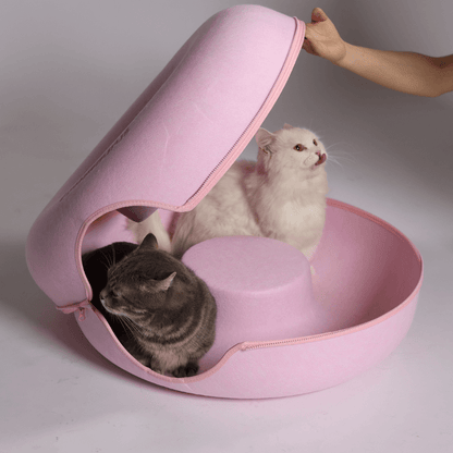 Delightful Cotton Candy Peekaboo Surprise!