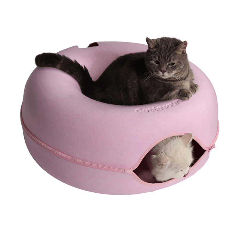 Delightful Cotton Candy Peekaboo Surprise!