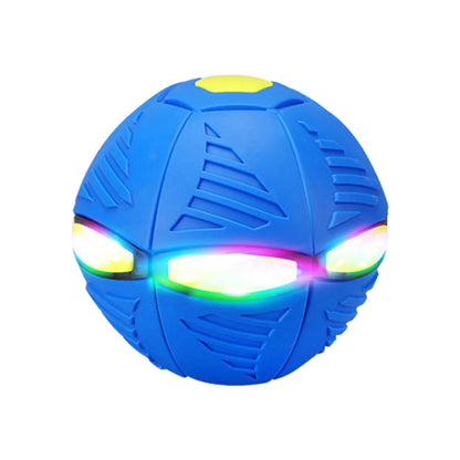 Doggy Disc Ball