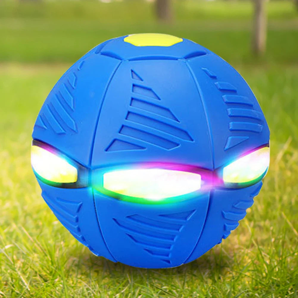 Doggy Disc Ball