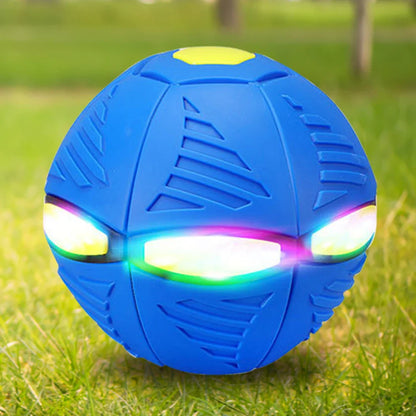 Doggy Disc Ball