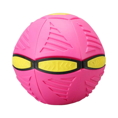 Doggy Disc Ball