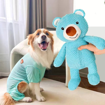 Pequeño oso de peluche chillón para perros - 