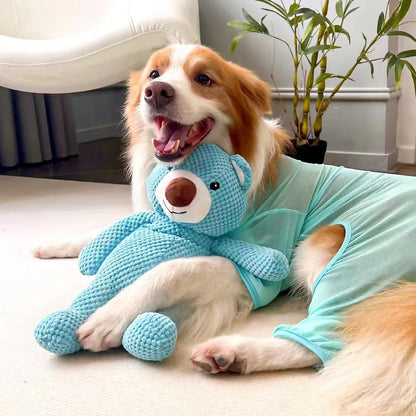 Pequeño oso de peluche chillón para perros - 