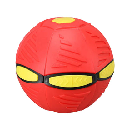 Doggy Disc Ball