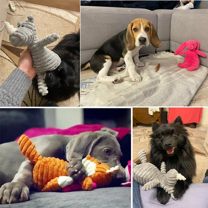 Juguete de peluche para perro 