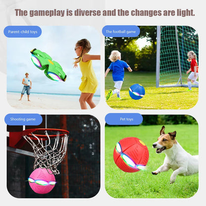 Doggy Disc Ball