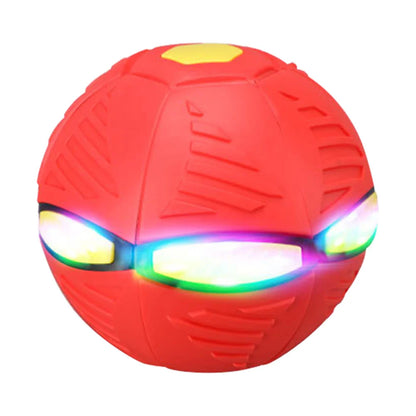 Doggy Disc Ball