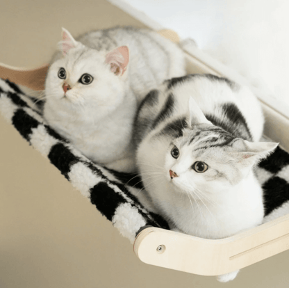 Royal Perch™ - Exclusive Duo Set - Enjoy 10% Off!