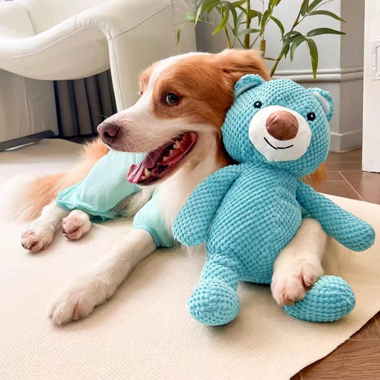 Small Squeaky Bear Plush Dog Toy -