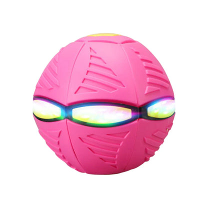 Doggy Disc Ball