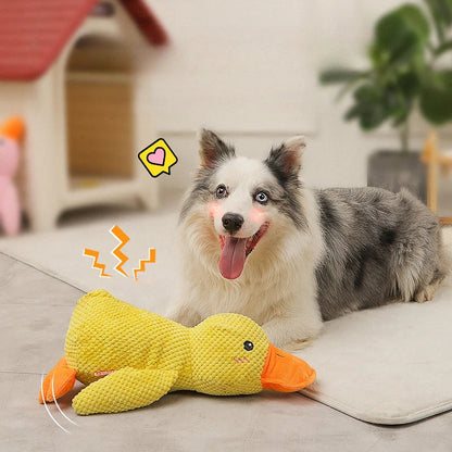 Viral Calming Duck
