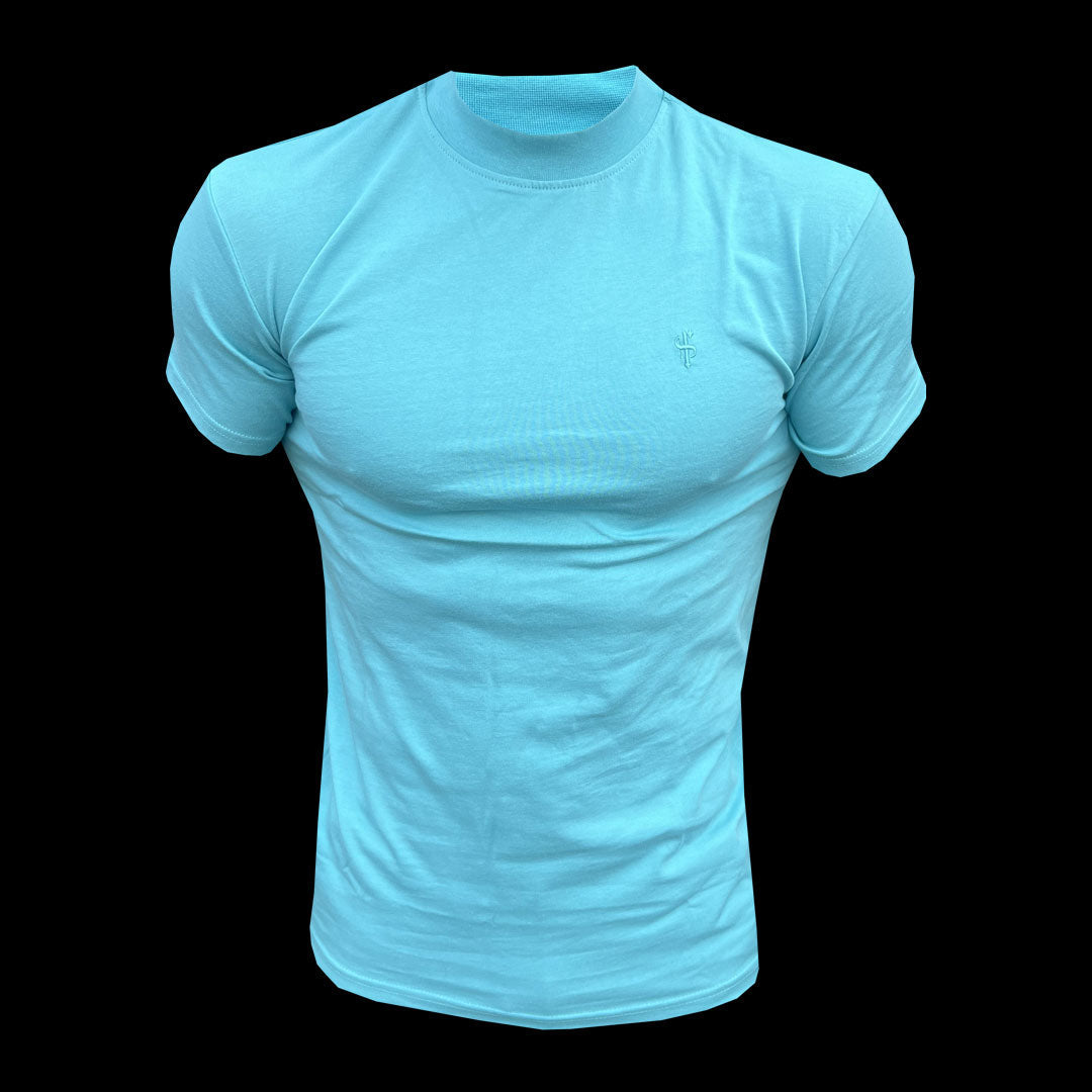 Turquoise Ribbed High Neck Crew Short Sleeve Top - FSH1144