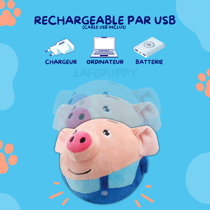 Pelota que rebota JUGUETE