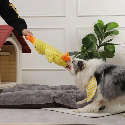 Viral Calming Duck
