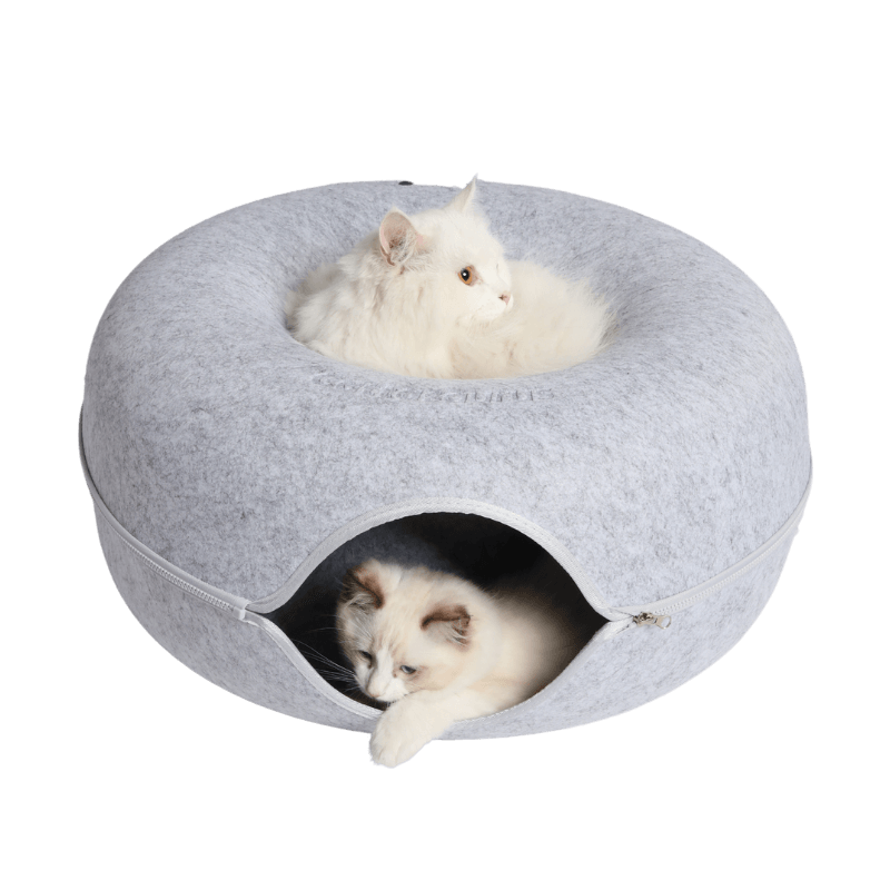 Exciting Cattasaurus™️ Peekaboo Cave - Large Trio Pack for Endless Fun!