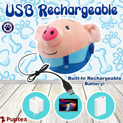 Pelota que rebota JUGUETE