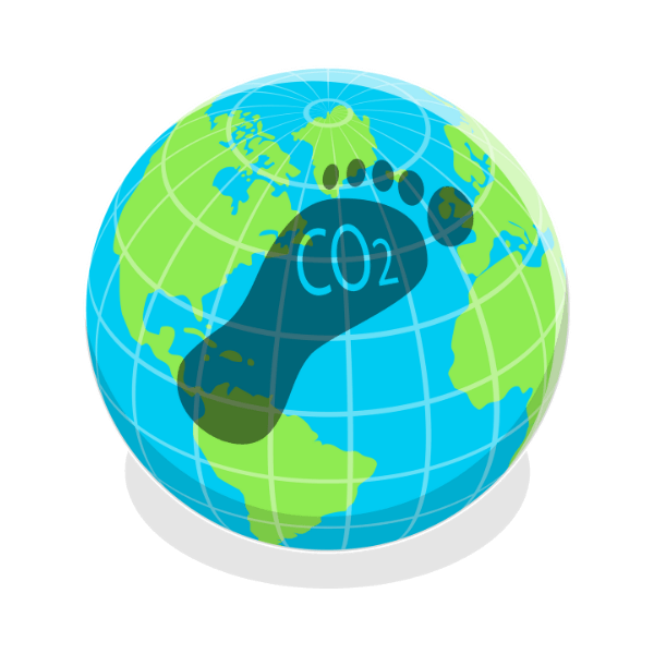Eco-Friendly Shipping Solutions