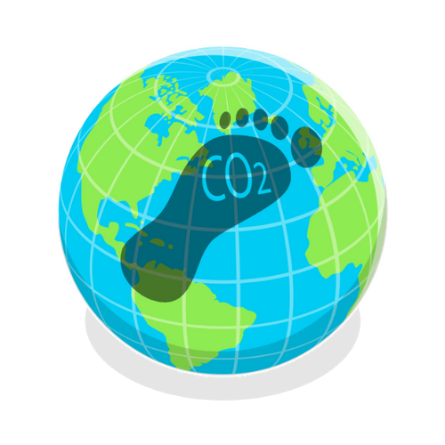 Eco-Friendly Shipping Solutions