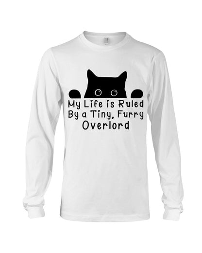 Life Under the Paw: Embracing My Adorable Furry Overlord Cat!