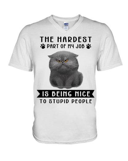 The Biggest Challenge of My Job: Staying Sweet to My Feline Friend