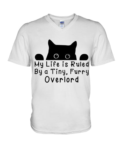 Life Under the Paw: Embracing My Adorable Furry Overlord Cat!