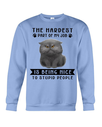 The Biggest Challenge of My Job: Staying Sweet to My Feline Friend