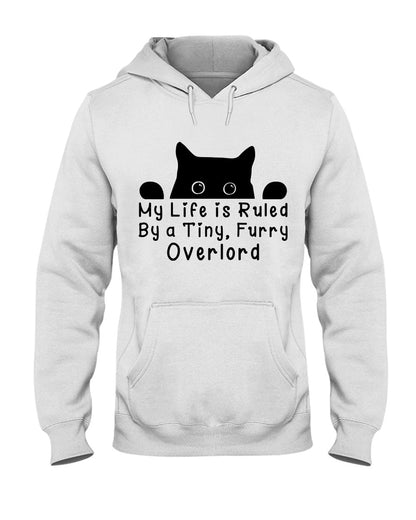 Life Under the Paw: Embracing My Adorable Furry Overlord Cat!