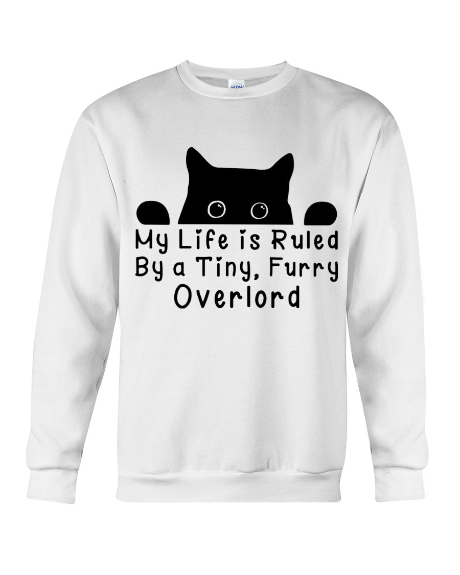 Life Under the Paw: Embracing My Adorable Furry Overlord Cat!