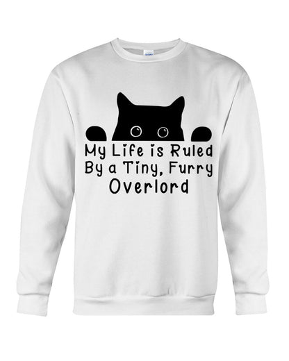 Life Under the Paw: Embracing My Adorable Furry Overlord Cat!
