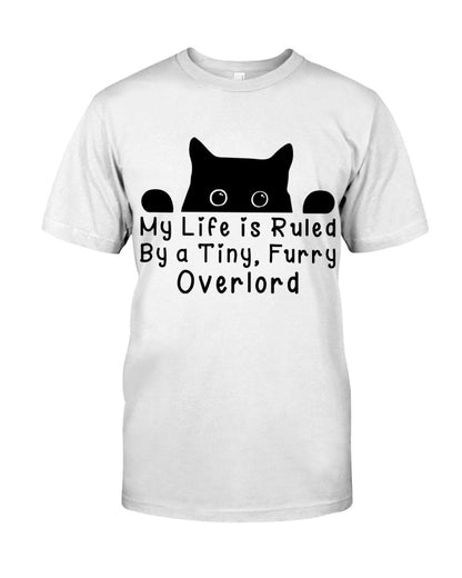 Life Under the Paw: Embracing My Adorable Furry Overlord Cat!
